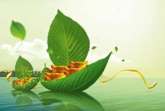 2017國家針對生物質顆粒機專項政策 2017國家針對生物質顆粒機專項政策