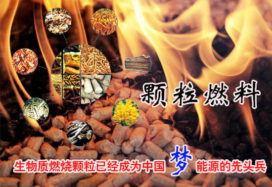 生物質燃料顆粒多少錢一噸! 生物質燃料顆粒多少錢一噸!