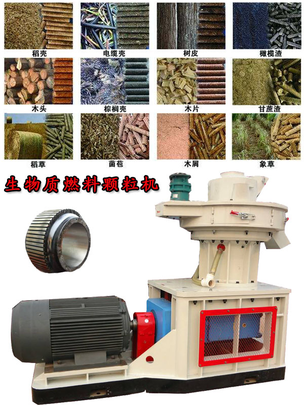 國內外生物質燃料顆粒機應用現狀的疑問! 國內外生物質燃料顆粒機應用現狀的疑問!