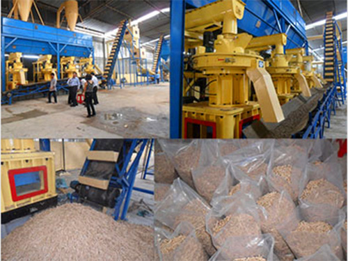 一個案例接著一個案例代表生物質(zhì)燃料顆粒機鋒芒畢露 一個案例接著一個案例代表生物質(zhì)燃料顆粒機鋒芒畢露